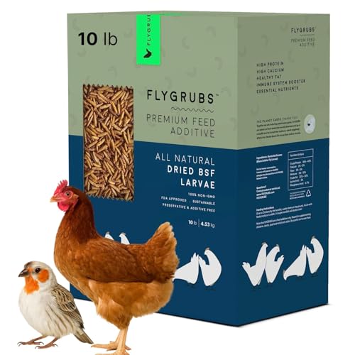 FLYGRUBS 10 lb Dried Black Soldier Fly Larvae - High Calcium Chicken Feeder - 85X More Calcium