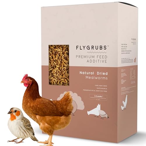 FLYGRUBS 20 lbs Dried Mealworms for Chickens – 85X More Calcium