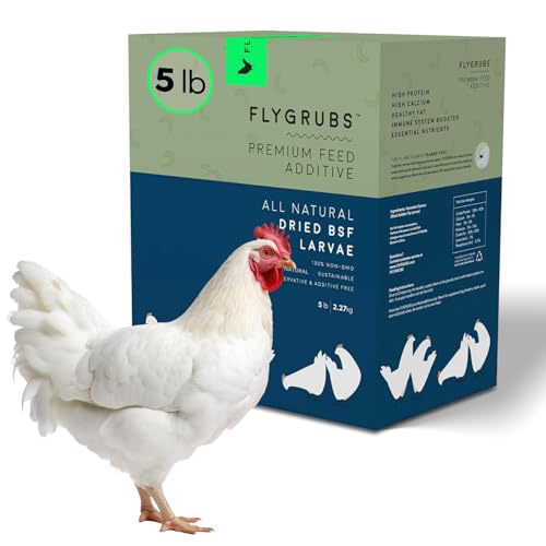 FLYGRUBS 5 lb Dried Black Soldier Fly Larvae - High-Calcium Chicken Treats for Laying Hens and Wild Birds - Nutrient-Rich Mealworm Alternative - Supports Feather Growth and Strong Eggshells